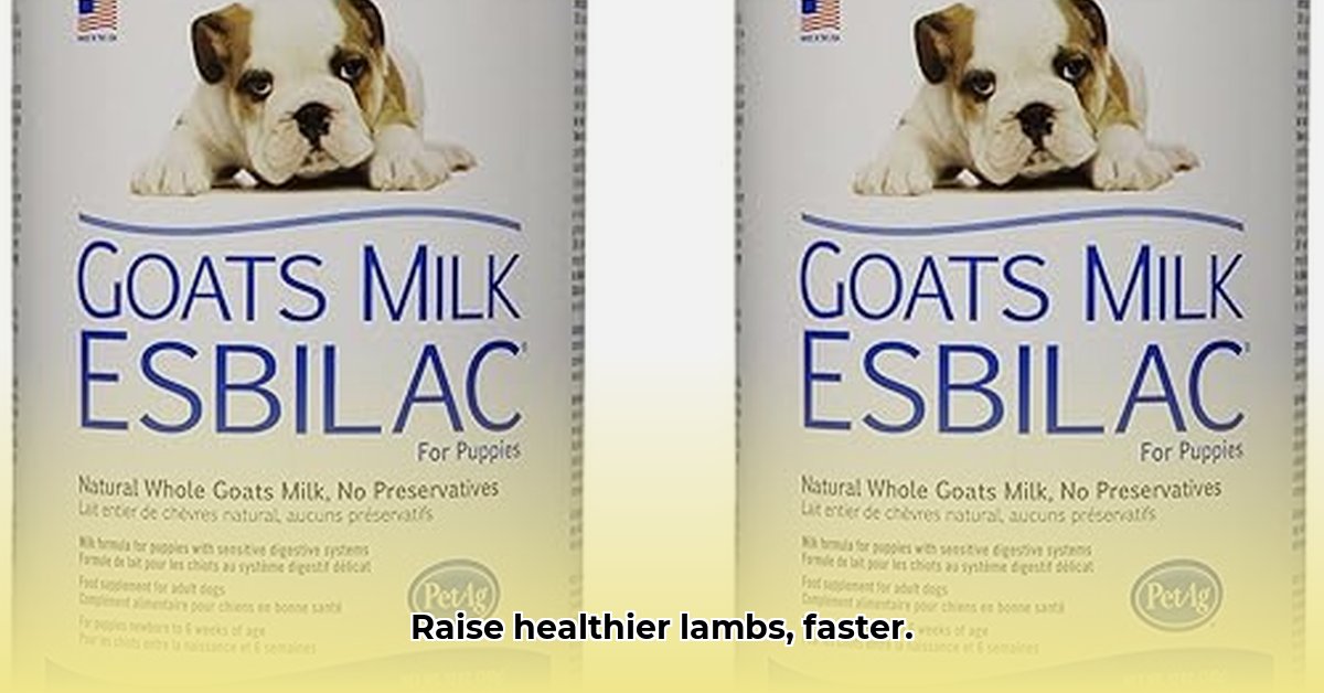 lamb-milk-replacer-tractor-supply